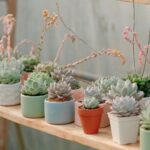 DIY Flower Pot Painting: Adding Color to Your Garden