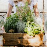 Creating Your Own Herb Garden: Fresh Flavors at Your Fingertips